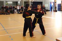 IMG_0224