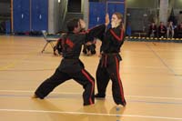 IMG_0381