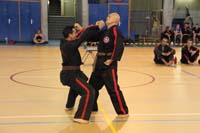 IMG_0419