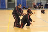 IMG_0452