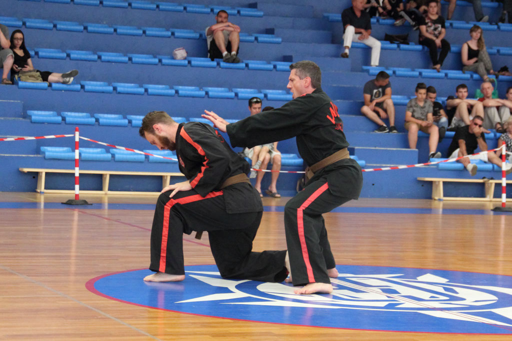 IMG_3146